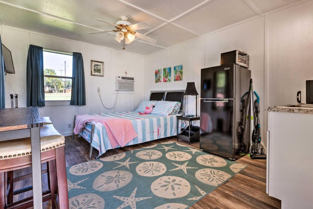 Flirty Flamingo Studio 1 Mi To Canyon Lake Εξωτερικό φωτογραφία