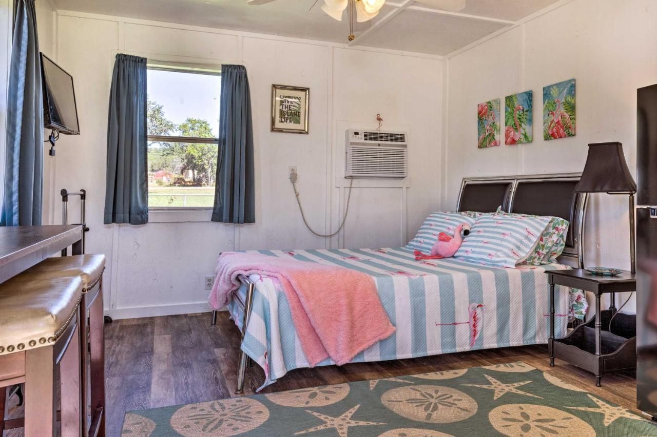 Flirty Flamingo Studio 1 Mi To Canyon Lake Εξωτερικό φωτογραφία