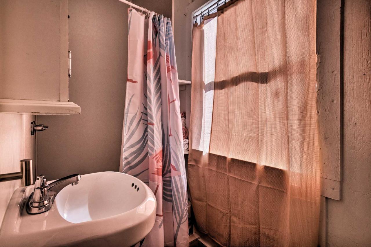 Flirty Flamingo Studio 1 Mi To Canyon Lake Εξωτερικό φωτογραφία